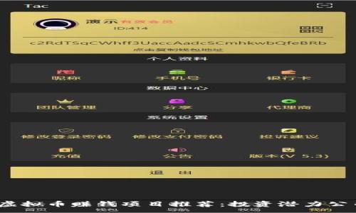 :
2023年虚拟币赚钱项目推荐：投资潜力公司大揭秘