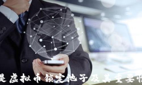 
什么是虚拟币锁定池子及其重要性解析