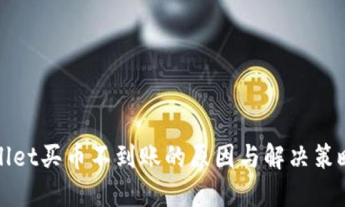 TPWallet买币不到账的原因与解决策略详解