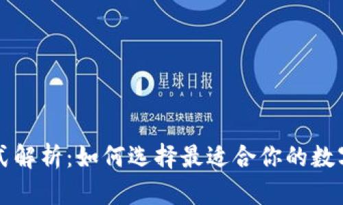 虚拟币钱包格式解析：如何选择最适合你的数字资产存储方案