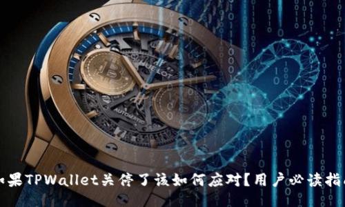 如果TPWallet关停了该如何应对？用户必读指南