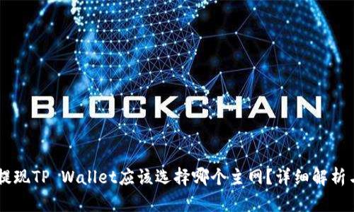 币安提现TP Wallet应该选择哪个主网？详细解析与指南