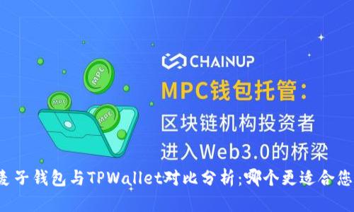 麦子钱包与TPWallet对比分析：哪个更适合您？
