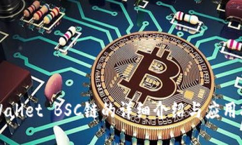 TPWallet BSC链的详细介绍与应用指南