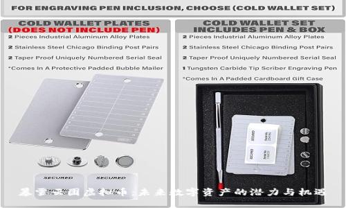 暴雪云团虚拟币：未来数字资产的潜力与机遇
