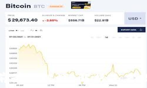   
央行虚拟币的前景与挑战：解析未来数字货币的影响