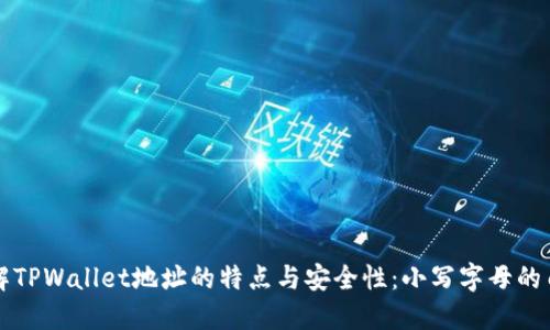 理解TPWallet地址的特点与安全性：小写字母的由来