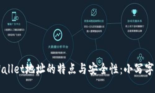 理解TPWallet地址的特点与安全性：小写字母的由来