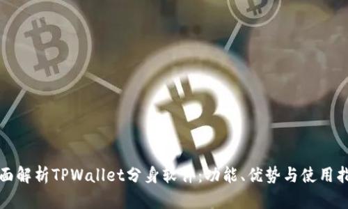 全面解析TPWallet分身软件：功能、优势与使用指南