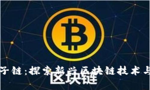 虚拟币分子链：探索新兴区块链技术与应用前景