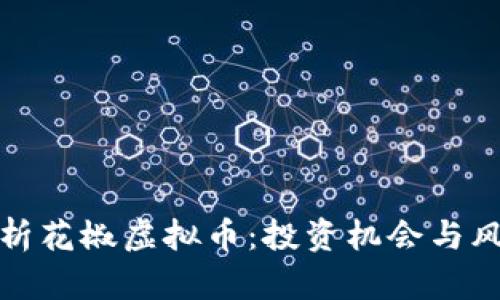 全面解析花椒虚拟币：投资机会与风险评估