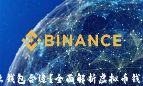 
买虚拟币用什么钱包合适？全面解析虚拟币钱包的选择及使用