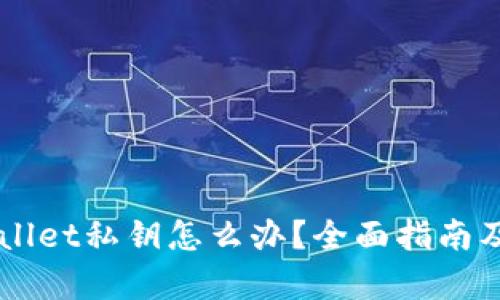忘记TPWallet私钥怎么办？全面指南及恢复方法