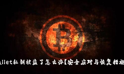 tpwallet私钥被盗了怎么办？安全应对与恢复措施详解