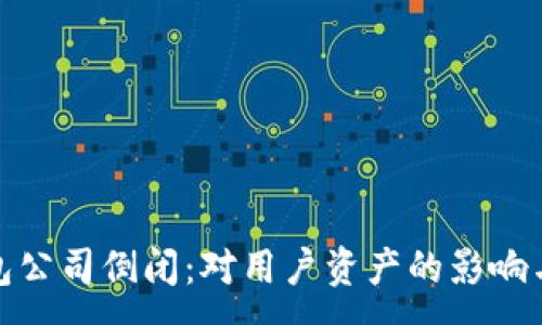 :
虚拟币钱包公司倒闭：对用户资产的影响与应对措施