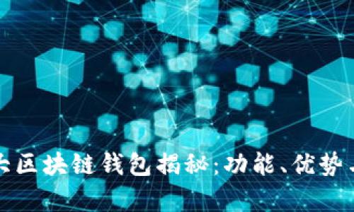 全球第一大区块链钱包揭秘：功能、优势与前景分析