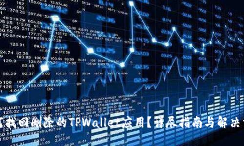 如何找回删除的TPWallet应用？详尽指南与解决方案