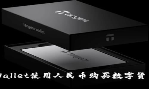 如何通过TPWallet使用人民币购买数字货币的详细指南