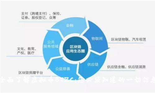 全面了解虚拟币BTZC：您必须知道的一切信息
