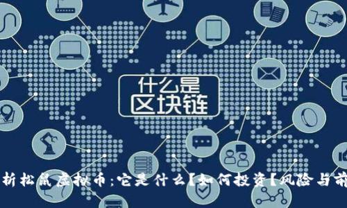 深入解析松鼠虚拟币：它是什么？如何投资？风险与前景剖析