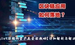 tpwallet误转的资产是否能找回？详细解析与解决方