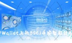 ### TPWallet上的BSC（币安智能链）功能详解