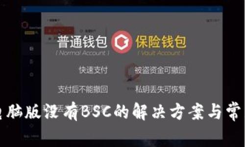 tpwallet电脑版没有BSC的解决方案与常见问题解析