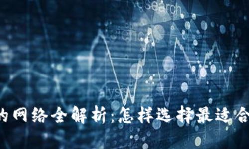 TPWallet支持的网络全解析：怎样选择最适合的区块链环境?