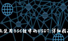 如何在TPWallet上使用BSC链中的USDT：详细指南与常