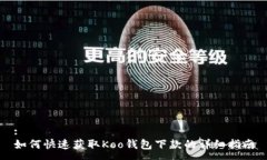 :如何快速获取Koo钱包下款的详细指南