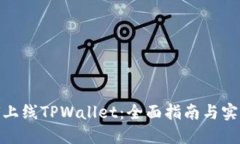 : 如何上线TPWallet：全面指南与实用技巧