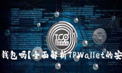 : TPWallet是冷钱包吗？全面解析TPWallet的安全性与使用体验