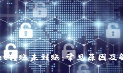 TPWallet转账未到账：常见原因及解决方案