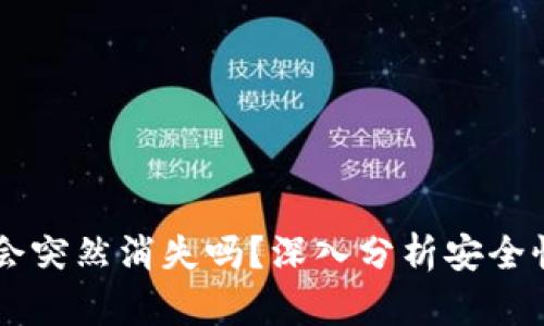 TPWallet币会突然消失吗？深入分析安全性与风险因素