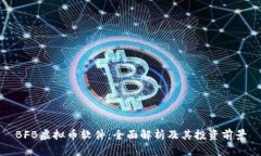 BFB虚拟币软件：全面解析及其投资前景