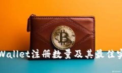 TPWallet注册数量及其最佳实践