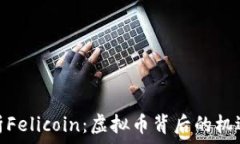   全面解析Felicoin：虚拟币背后的机遇与风险