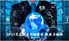 2023年虚拟币市场分析：机遇与挑战
