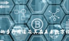 虚拟币交易的多种用途及其在未来数字经济中的