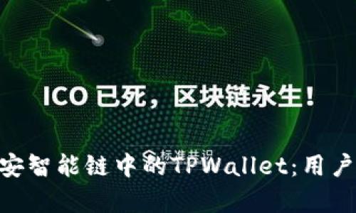 深入了解BSC币安智能链中的TPWallet：用户指南与投资分析