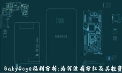 TPWallet BabyDoge福利分析：为何没有分红及其投资价