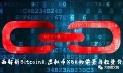 全面解析BitcoinR：虚拟币XBR的前景与投资价值