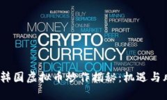 2023年韩国虚拟币炒作揭秘：机遇与风险并存
