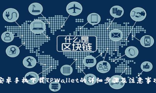 安卓手机下载TPWallet的详细步骤及注意事项