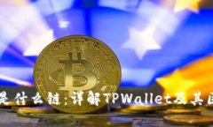 TPWallet货币是什么链：详解TPWallet及其区块链技术