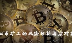 虚拟币矿工的风险分析与应对策略