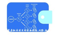 2024年投资虚拟币项目的全面指南：风险、机会与