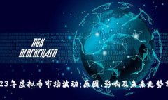 2023年虚拟币市场波动：原因、影响及未来走势分