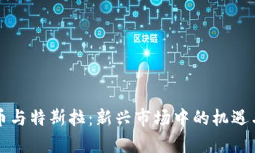 虚拟币与特斯拉：新兴市场中的机遇与挑战