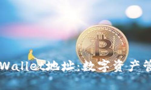深入解析TPWallet地址：数字资产管理的新利器